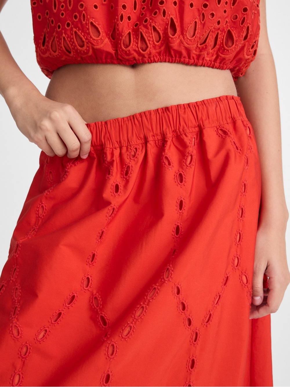 Madewell Embroidered Midi Skirt - Picture 5 of 9